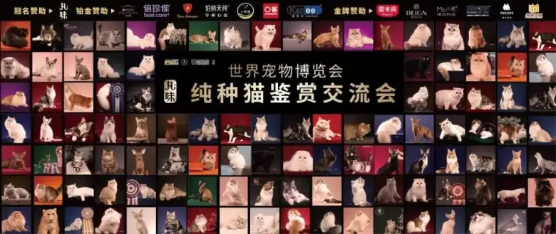 宏伟世界宠物博览会 排期公布 | 十城巡展