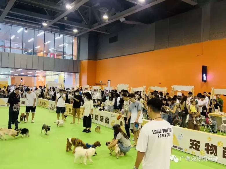 宏伟世界宠物博览会 排期公布 | 十城巡展