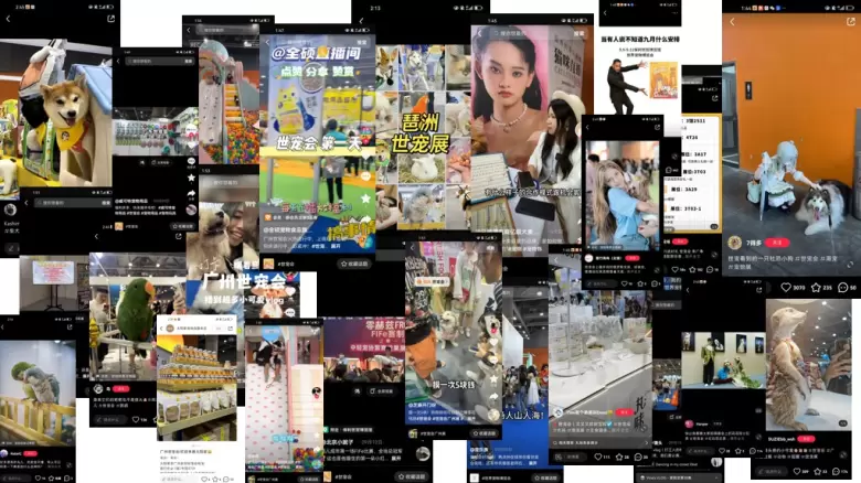 宏伟世界宠物博览会 排期公布 | 十城巡展