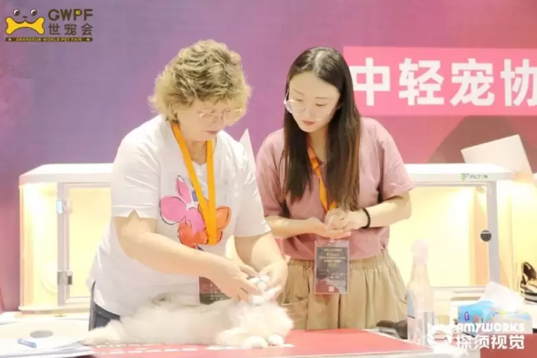 宏伟世界宠物博览会 排期公布 | 十城巡展