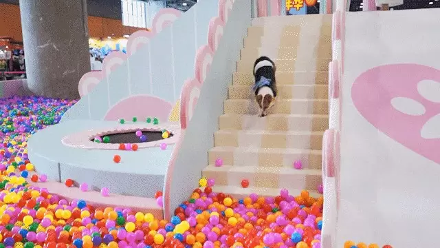 123
