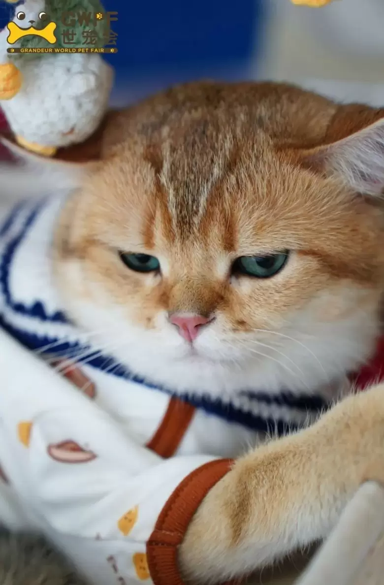 123