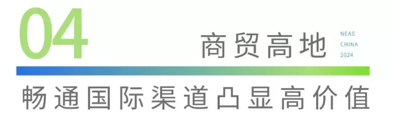 【观众预登记开启】NEAS 2024深圳新能源汽车技术展：引领绿色发展，聚焦产业创新