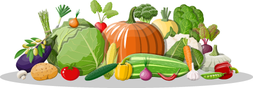  2026 HOTELEX 上海酒店及餐饮展：观众预登记通道开启，核心板块展出范围揭晓！