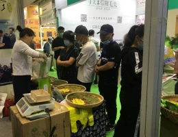 天津国际茶产业展-天津茶博会