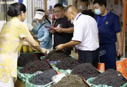 临沂国际茶产业展