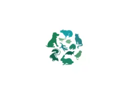 华东（苏州）国际宠物用品展览会