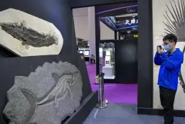 海南国际珠宝展-世界珠宝发展大会