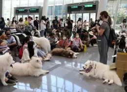 台湾宠物用品展览会