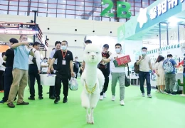 郑州中原宠物产业展览会