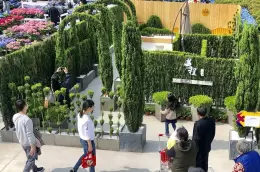 海宁世界花园大会