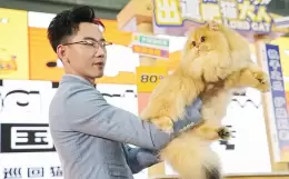 西安宠物用品展览会