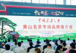 安徽国际茶产业博览会-安徽茶博会