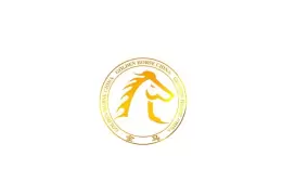 武汉金马混凝土产业展-金马工程机械展