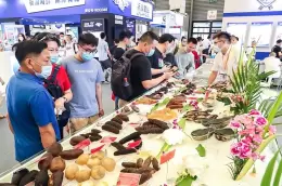 上海国际渔业展-上海渔博会