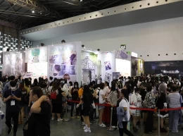 中国国际动漫游戏博览会-上海漫展