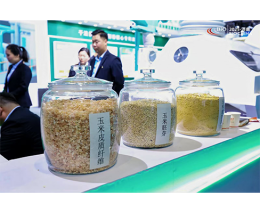 中国(济南)国际玉米及淀粉深加工产业展览会暨中国玉米及淀粉深加工创新发展大会